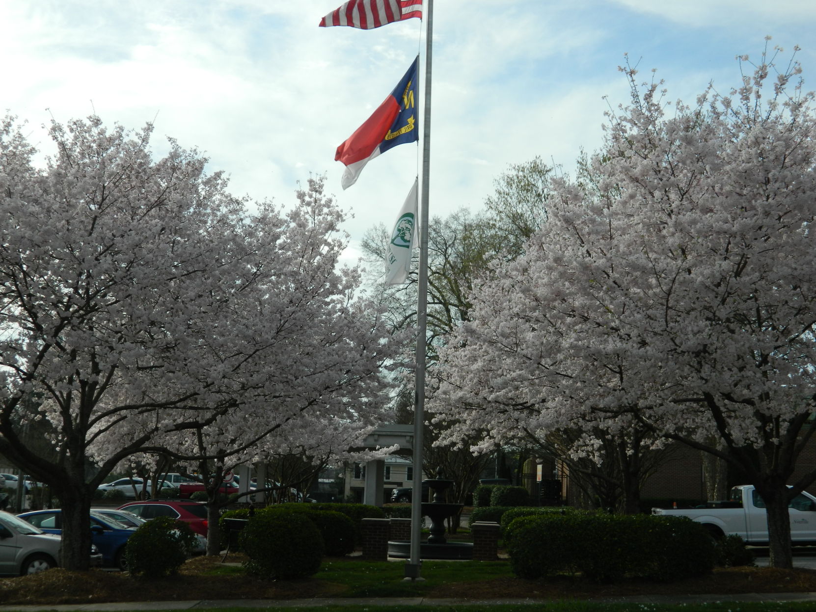 Spring photos (11).JPG